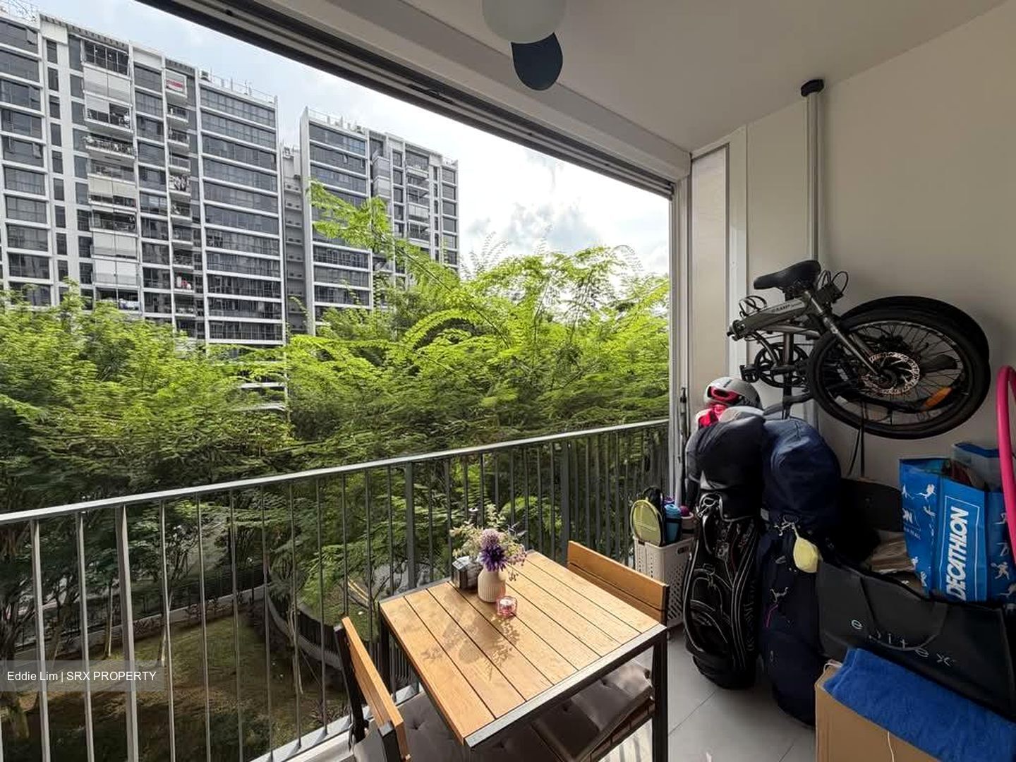 Ecopolitan (D19), Condominium #592290801
